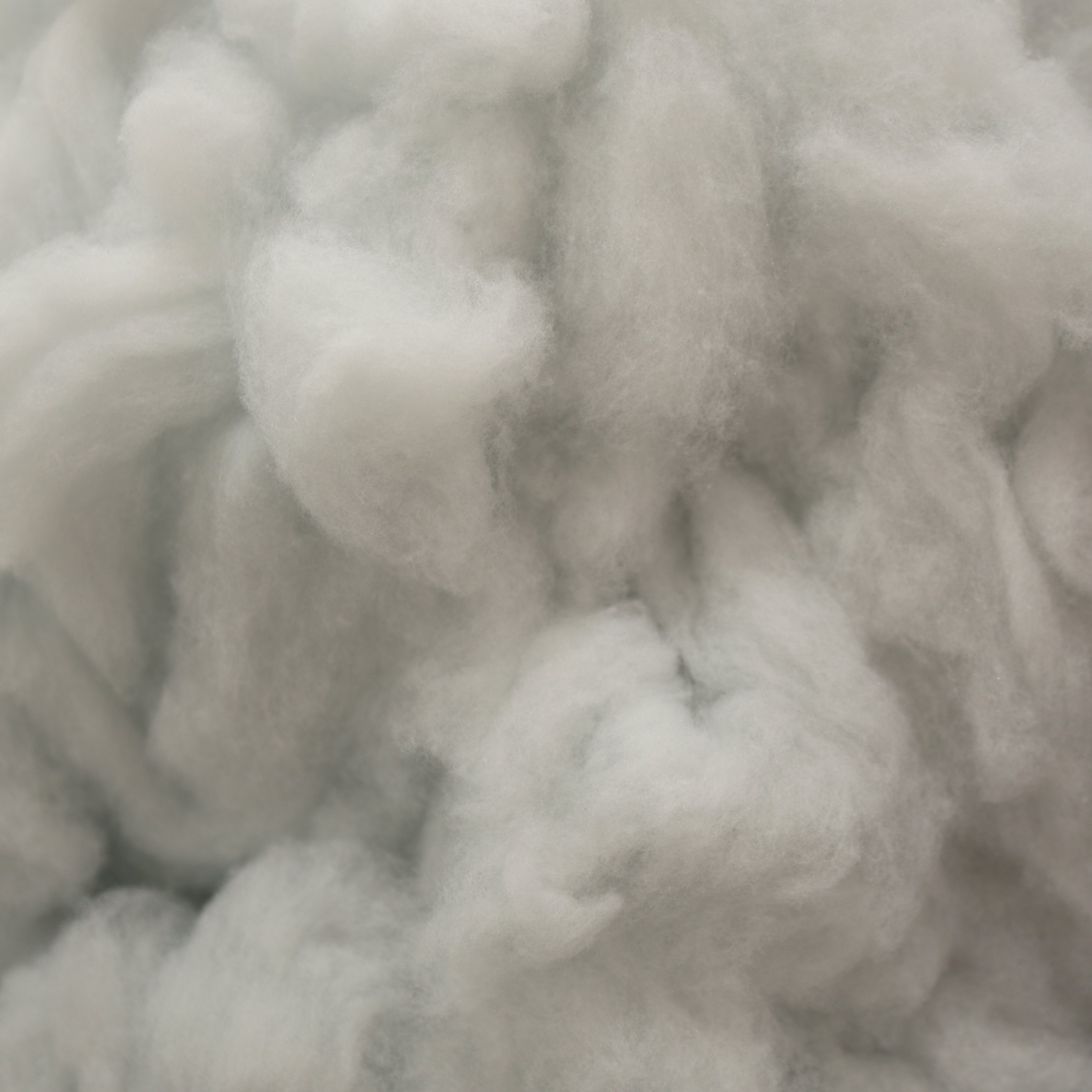 Devonshire Wool